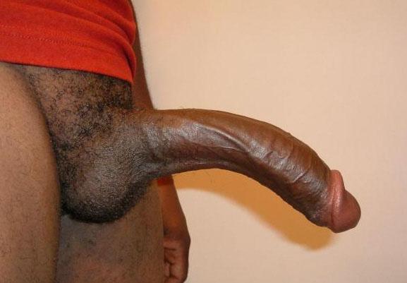 18 Inch Black Cock